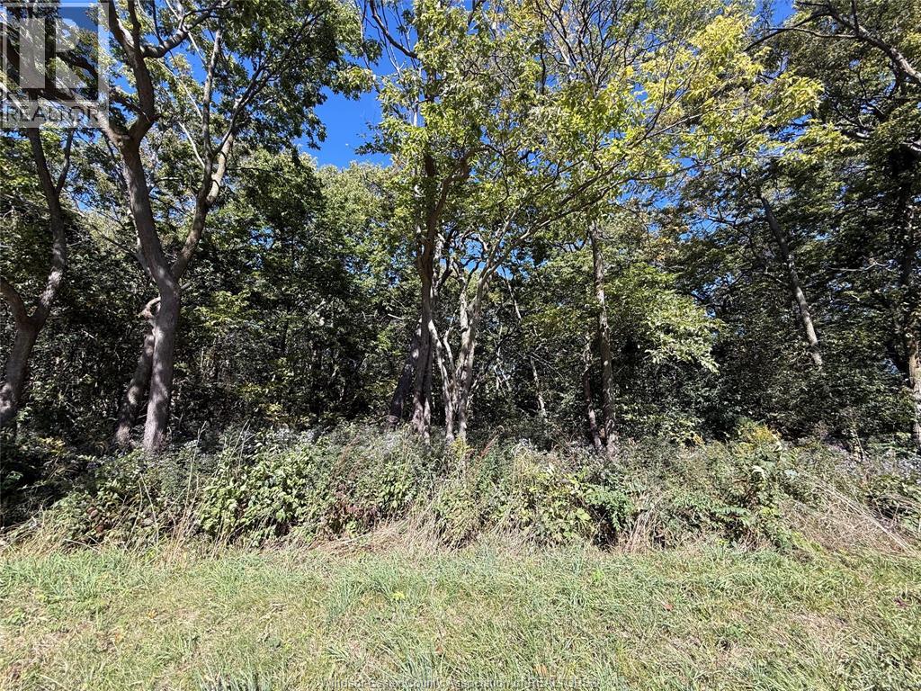 537 South Shore, Pelee Island — photo 6