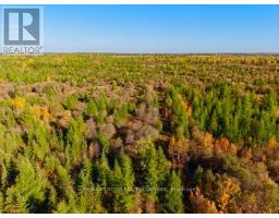 Lt 2 Devitt Township, Mattice Val Cote, ON P0L1T0 Photo 6