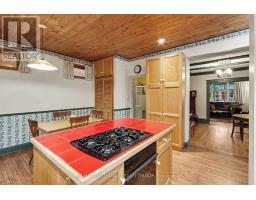 120 Hopewell Avenue, Ottawa, ON K1S2Z3 Photo 11