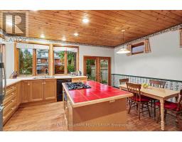 120 Hopewell Avenue, Ottawa, ON K1S2Z3 Photo 13