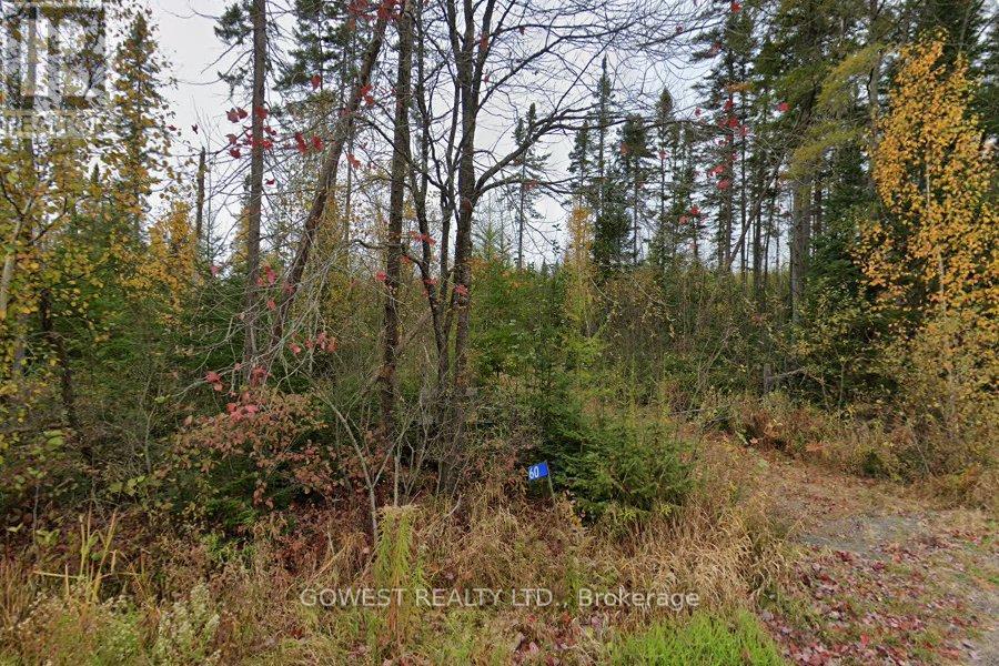 60 STAHLS ROAD, Huntsville (Chaffey) — photo 2