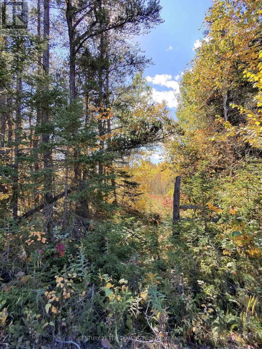 0 WILSON ROAD, Temiskaming Shores (Haileybury) — photo 5