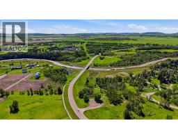 329 Flare Avenue Sw, Diamond Valley, AB T0L2A0 Photo 34