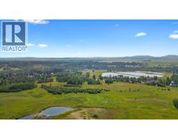 329 Flare Avenue Sw, Diamond Valley, AB T0L2A0 Photo 42
