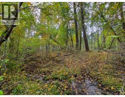 3590 Kootenay No. 3 Road, Windermere, BC V0B1L1 Photo 66