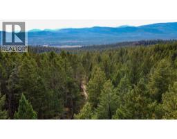 3590 Kootenay No. 3 Road, Windermere, BC V0B1L1 Photo 60