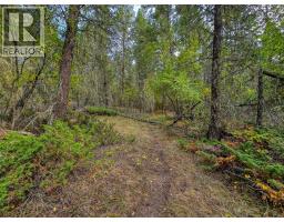 3590 Kootenay No. 3 Road, Windermere, BC V0B1L1 Photo 64