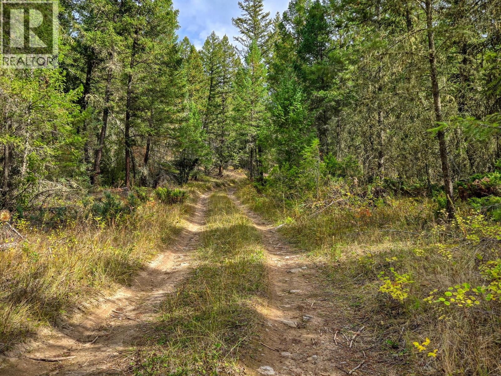3590 Kootenay No. 3 Road - 63