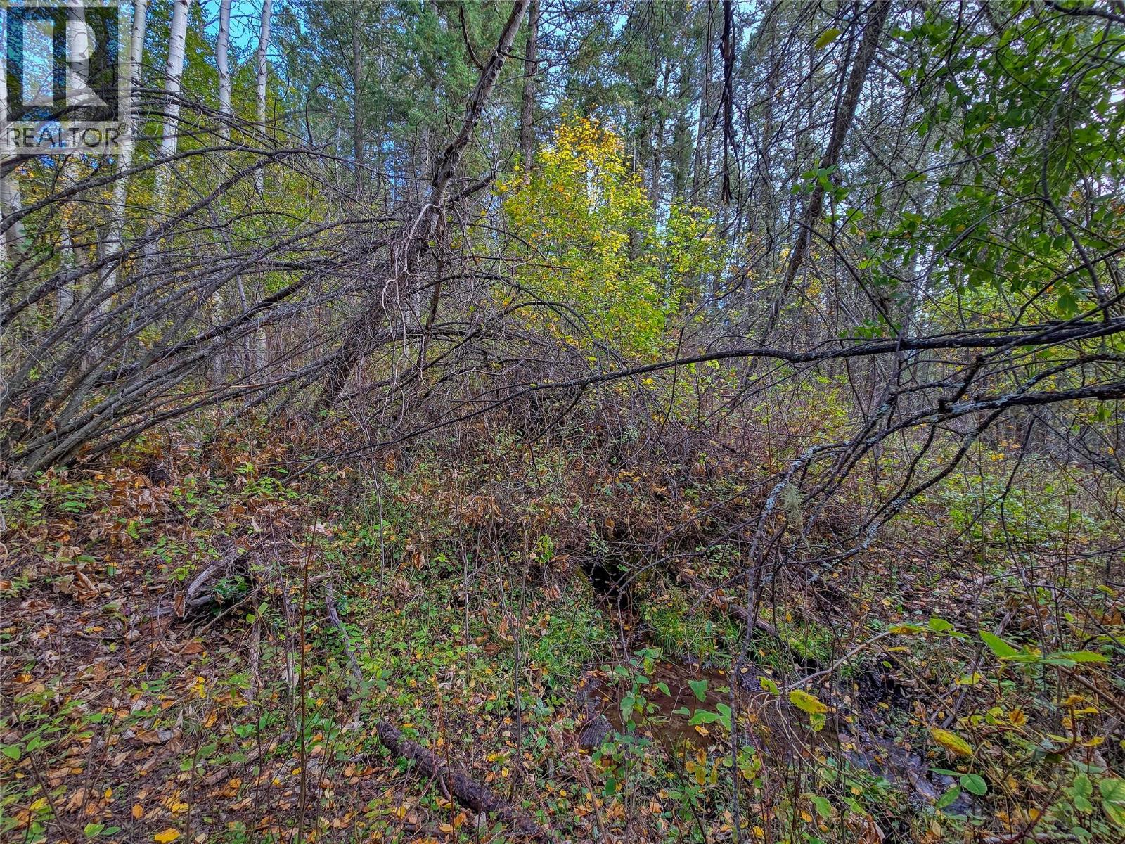3590 Kootenay No. 3 Road - 75