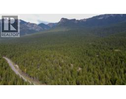 Living room - 3590 Kootenay No. 3 Road, Windermere, BC V0B1L1 Photo 6