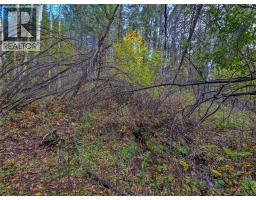 3590 Kootenay No. 3 Road, Windermere, BC V0B1L1 Photo 75