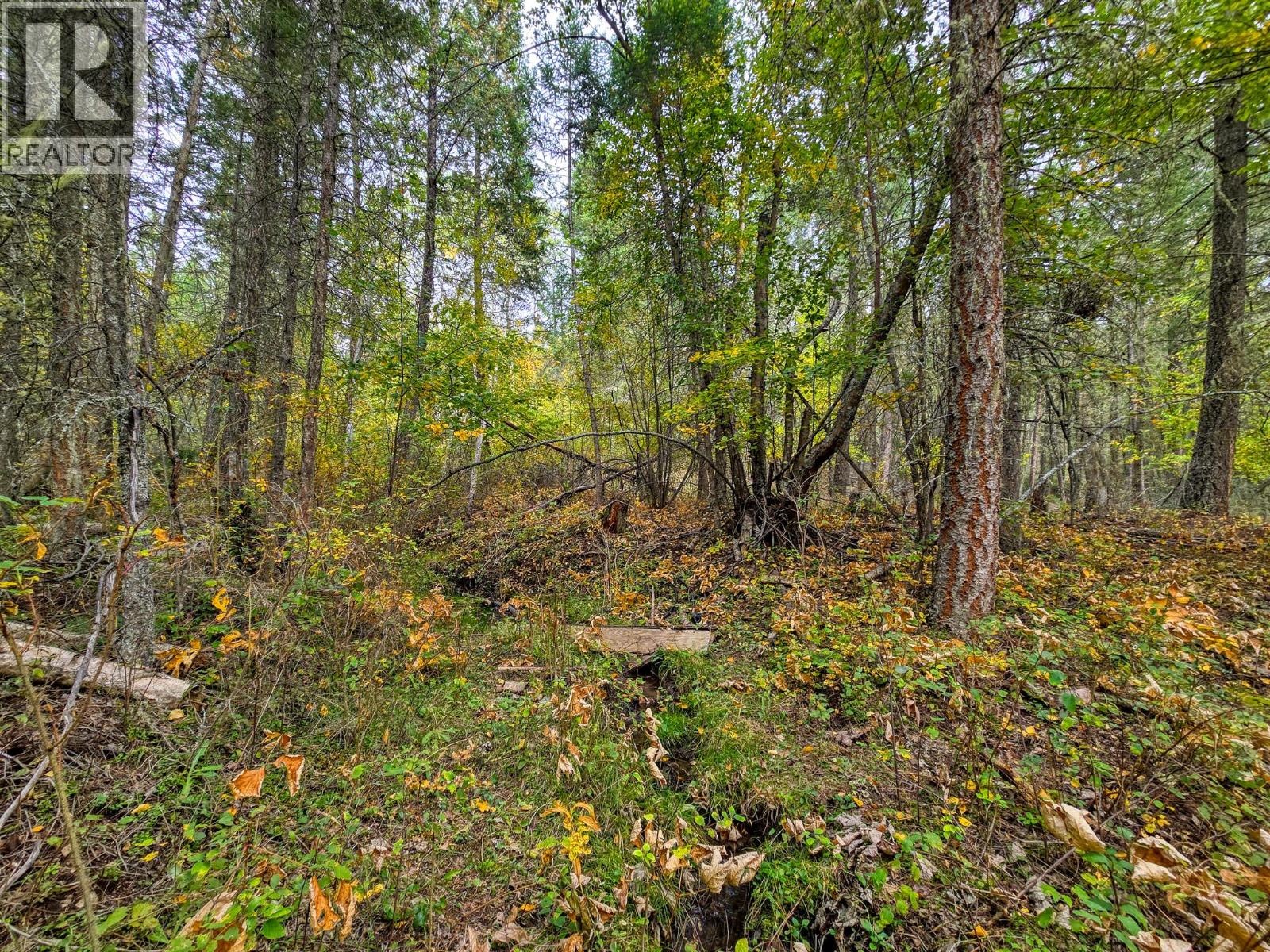 3590 Kootenay No. 3 Road - 72