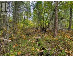 3590 Kootenay No. 3 Road, Windermere, BC V0B1L1 Photo 72