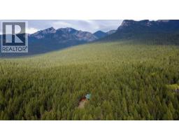 3590 Kootenay No. 3 Road, Windermere, BC V0B1L1 Photo 50
