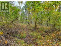 3590 Kootenay No. 3 Road, Windermere, BC V0B1L1 Photo 71