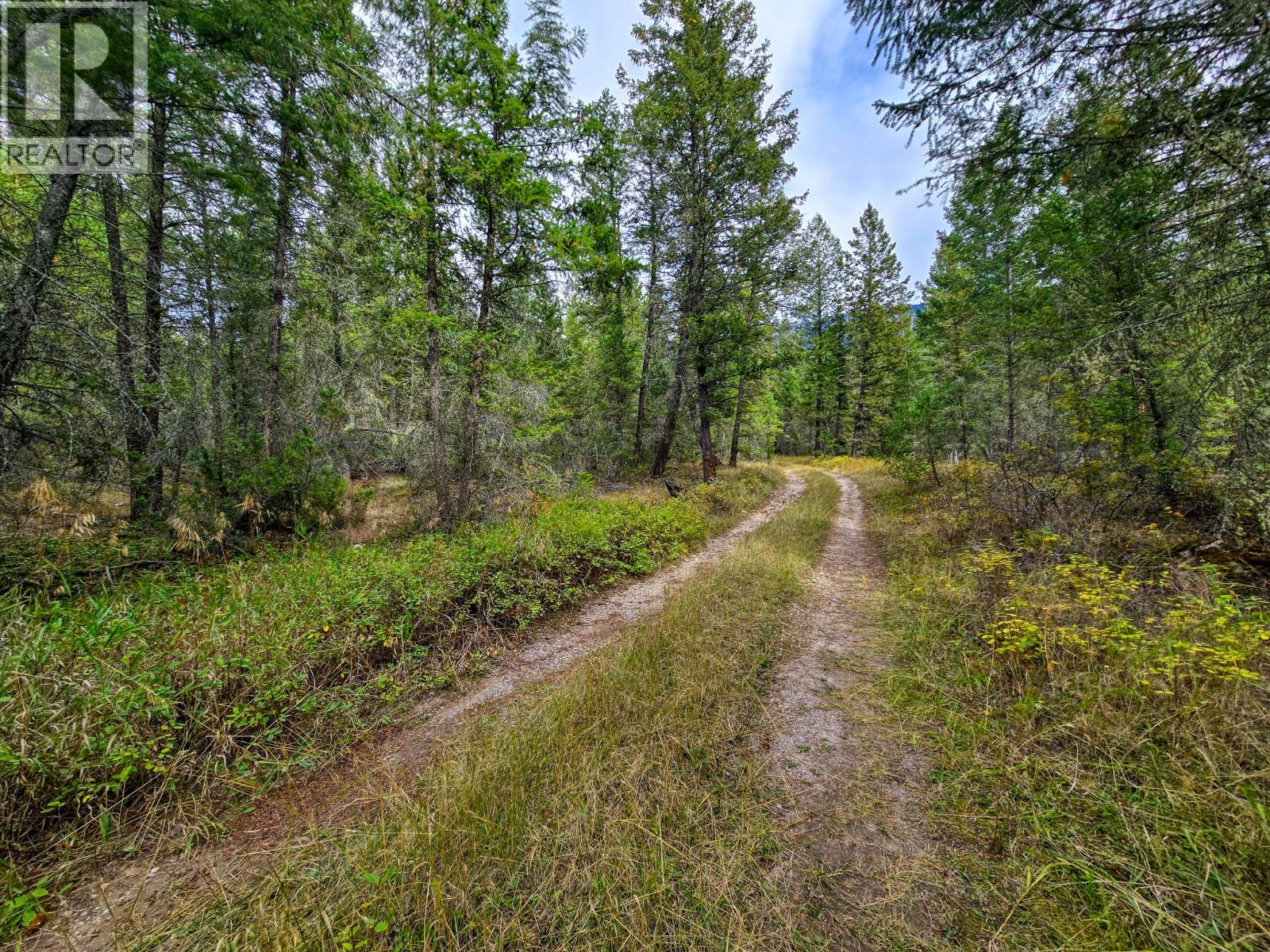 3590 Kootenay No. 3 Road - 67