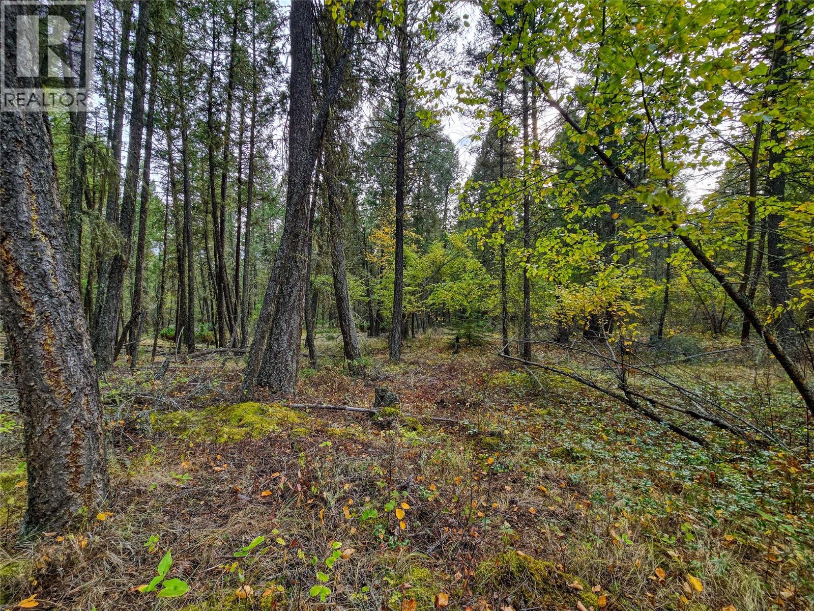 3590 Kootenay No. 3 Road - 76
