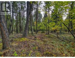 3590 Kootenay No. 3 Road, Windermere, BC V0B1L1 Photo 76