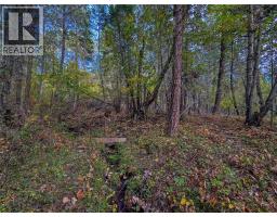3590 Kootenay No. 3 Road, Windermere, BC V0B1L1 Photo 74