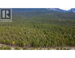 3590 Kootenay No. 3 Road, Windermere, BC V0B1L1 Photo 49