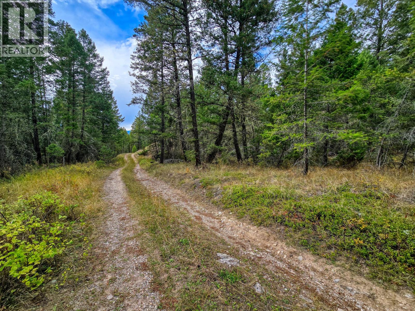 3590 Kootenay No. 3 Road - 68