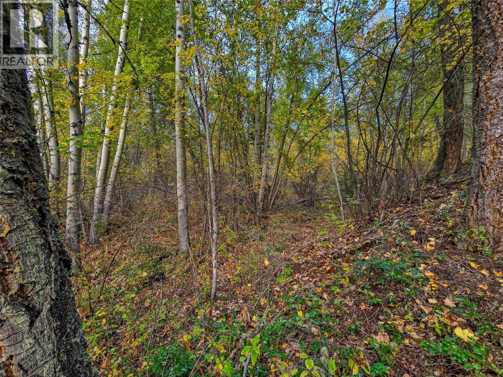 3590 Kootenay No. 3 Road - 77