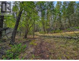 3590 Kootenay No. 3 Road, Windermere, BC V0B1L1 Photo 78