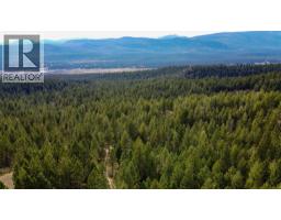 3590 Kootenay No. 3 Road, Windermere, BC V0B1L1 Photo 59