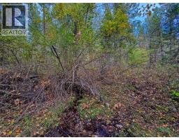 3590 Kootenay No. 3 Road, Windermere, BC V0B1L1 Photo 73
