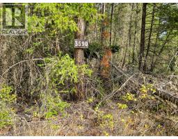 3590 Kootenay No. 3 Road, Windermere, BC V0B1L1 Photo 13