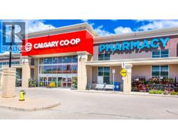 238 Skyview Point Road Ne, Calgary, AB T3N0K7 Photo 43