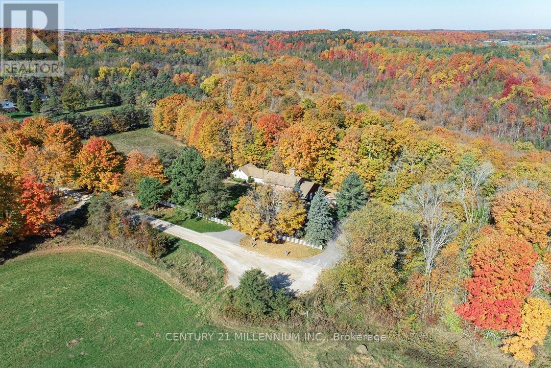 287199 10 SIDEROAD, Mono