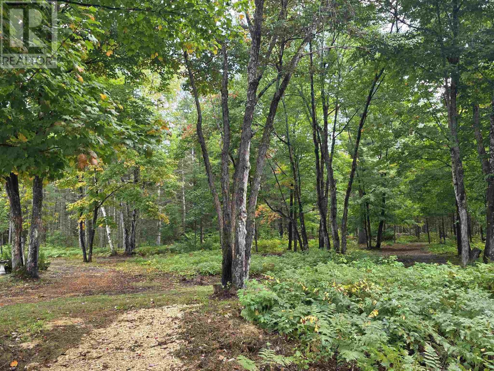 197 Finn RD - Image 16