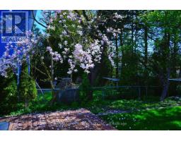 19 Penwick Crescent, Richmond Hill, ON L4C5B3 Photo 45