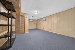 22 St Pierre Street, Winnipeg, MB R3V1J4 Photo 28