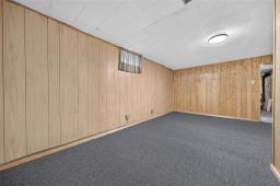 22 St Pierre Street, Winnipeg, MB R3V1J4 Photo 30