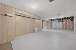22 St Pierre Street, Winnipeg, MB R3V1J4 Photo 34
