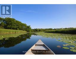 24 Charles Tupper Drive, Toronto, ON M1C2B1 Photo 38