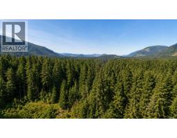7791 Hudgrove Rd, Lake Cowichan, BC V0R2G0 Photo 78