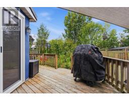 14 Forks Road, Welland, ON L3B5K1 Photo 19