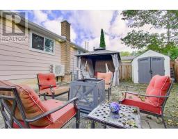 13 Alphonsus Court, New Tecumseth, ON L0G1W0 Photo 42