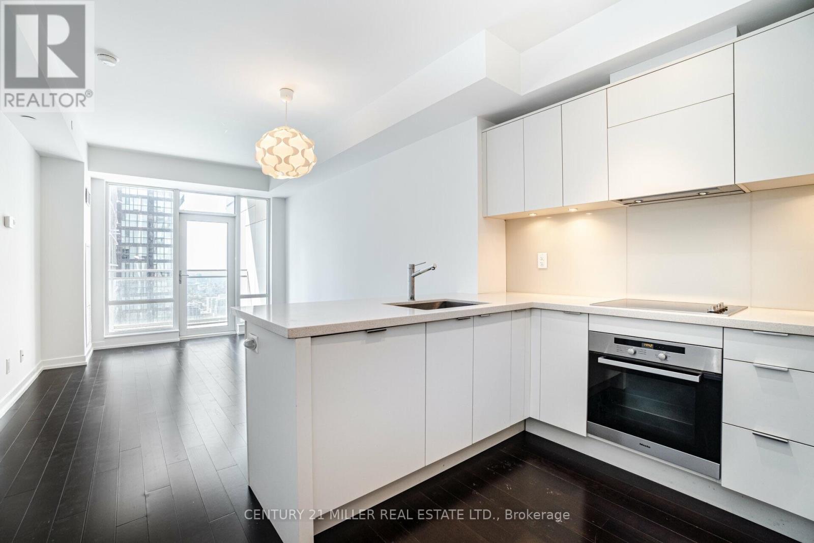 #3701 21 WIDMER STREET - 11