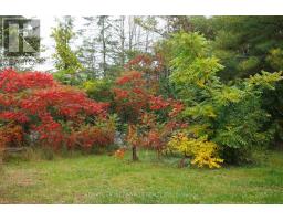 24 Oakwood Drive, Kawartha Lakes, ON K0M1N0 Photo 25