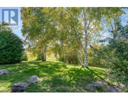 59 - 145 Fairway Crescent, Collingwood, ON L9Y5B4 Photo 31