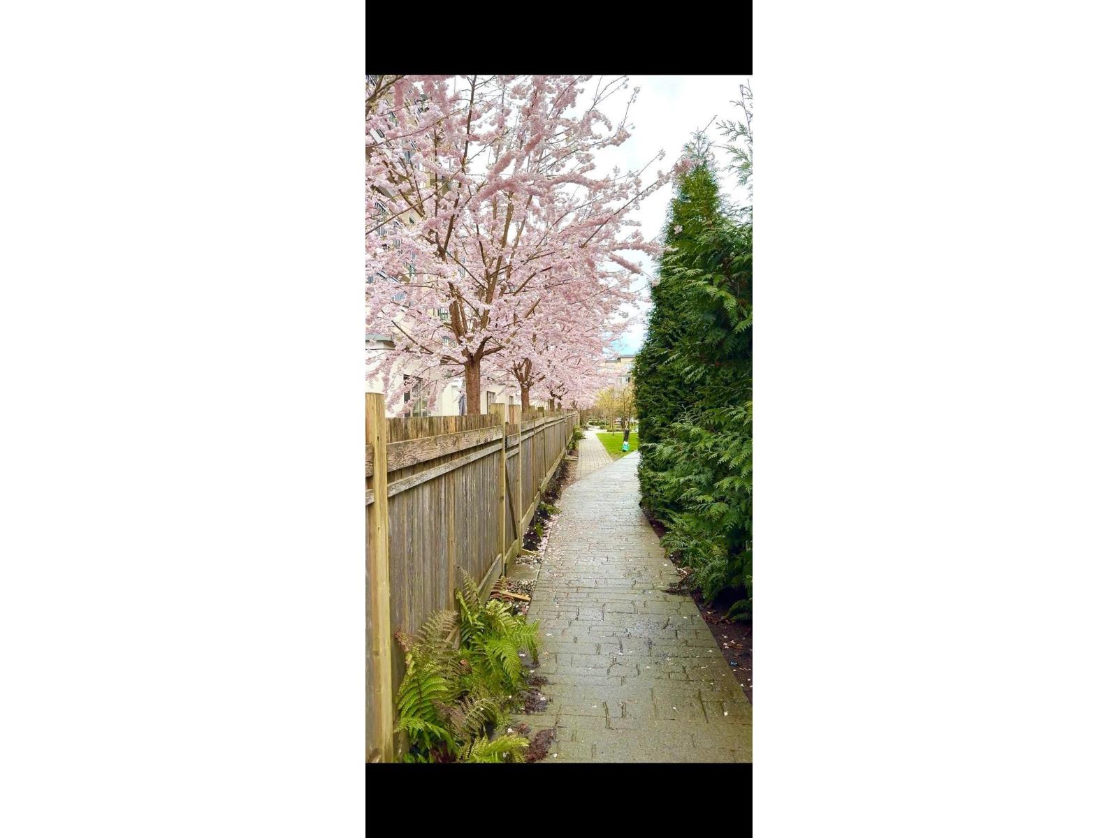 1 Bed, 1 Bath House for Sale in Langley – B105 20487 65 AVENUE, Langley – MLS# R3159110 - Image 13