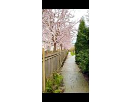 B105 20487 65 Avenue, Langley, BC V2Y3K5 Photo 10