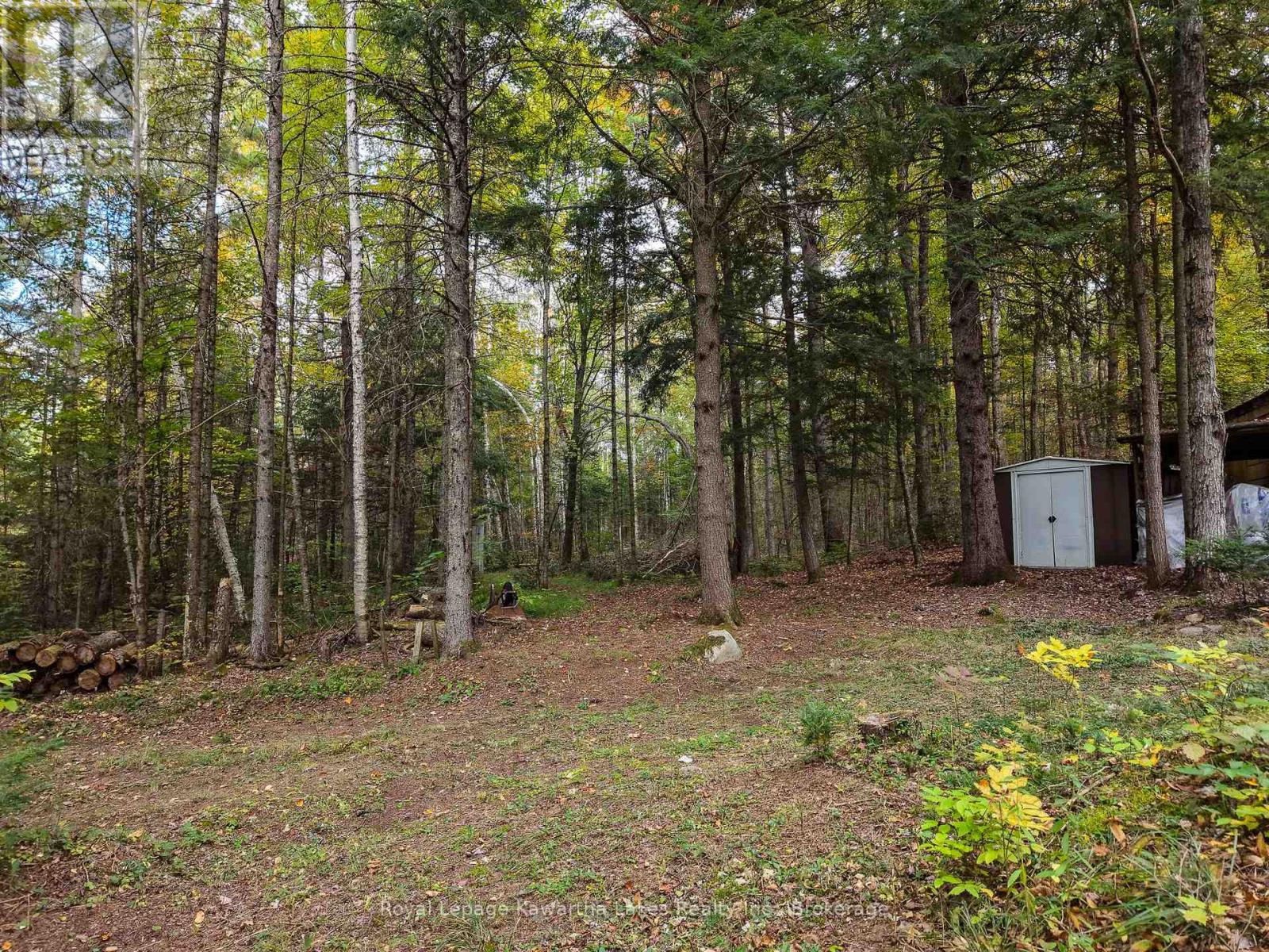 1810 BOLDTS LANE - 29