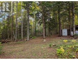 1810 Boldts Lane, Minden Hills, ON K0M2K0 Photo 29