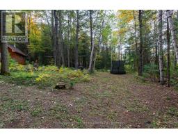 1810 Boldts Lane, Minden Hills, ON K0M2K0 Photo 30