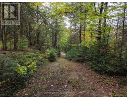 1810 Boldts Lane, Minden Hills, ON K0M2K0 Photo 31